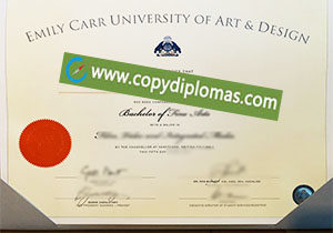 Emily Carr University of Art and Design degree