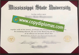 Mississippi State University degree