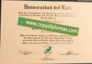 Universidad del Este degree