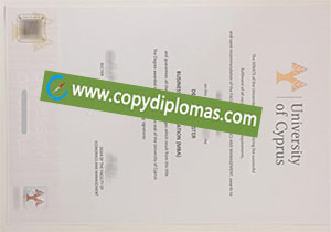 University of Cyprus degree