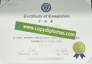 Yonsei University degree