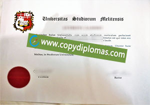 University of Malta degree