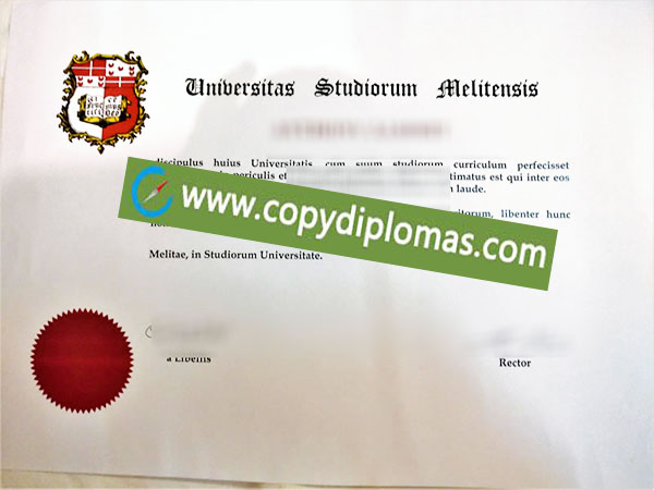 University of Malta diploma