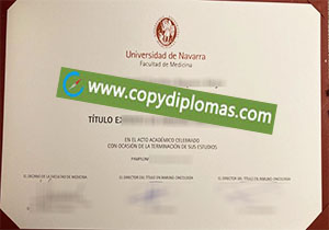 University of Navarra degree